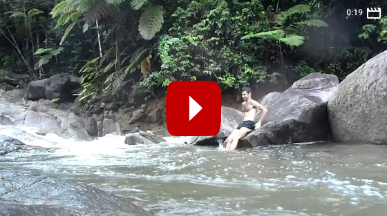 From a brook to a rapid river in Puerto Rican Rainforest